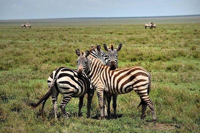 Lake Nakuru National Park Day Tour from Nairobi - The early pickup and drive toward the Rift Valley