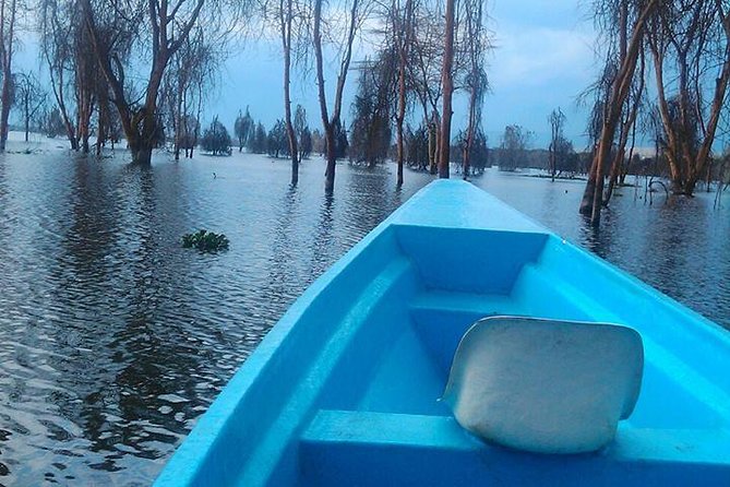 Lake Nakuru National Park Day Tour Via Lake Naivasha - Lake Naivasha and the boat ride