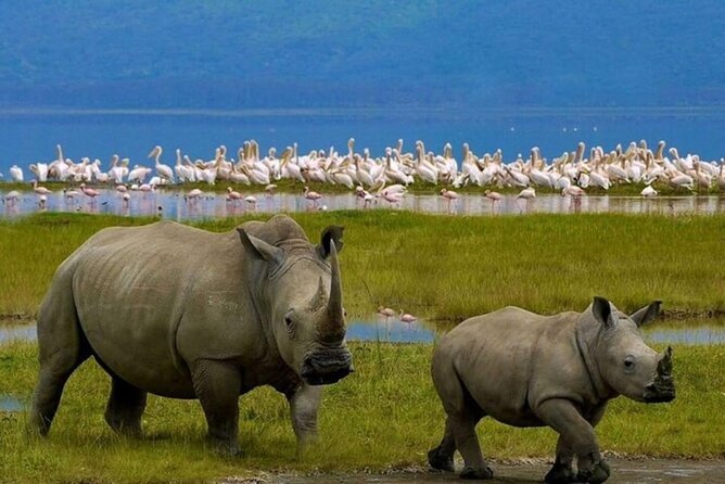 Lake Nakuru National Park: Day Trip from Nairobi - Entering Lake Nakuru National Park