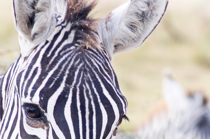 Lake Nakuru National Park daytrip - The Great Rift Valley viewpoint in 30 minutes