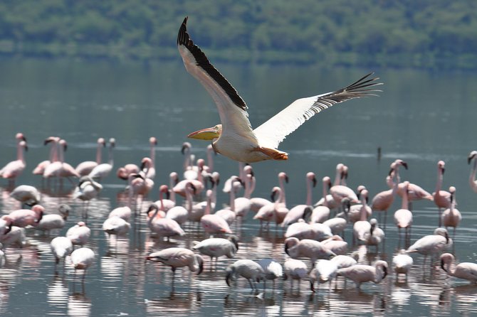 Lake Nakuru National Park daytrip - The five-minute Mai Mahiu Catholic Church stop