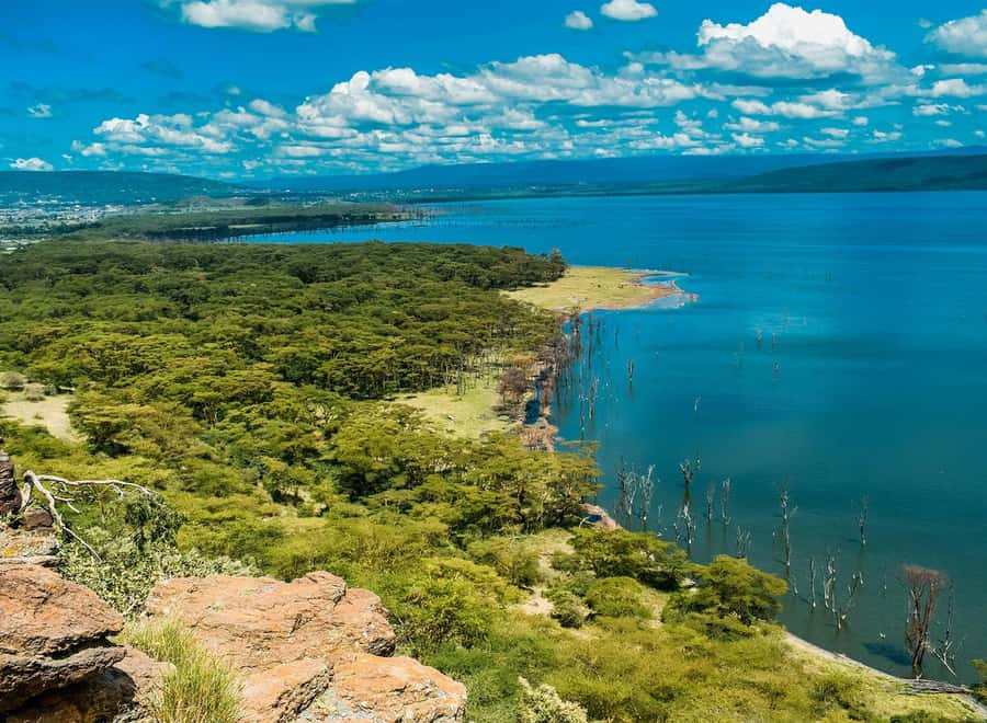 Lake Nakuru National Park: Daytrip in a 4X4 Private Jeep - Why Lake Nakuru works as a Nairobi day trip