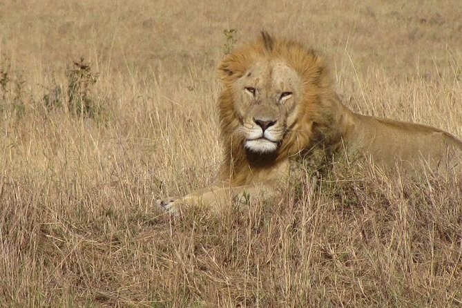 Lake Nakuru National Park - Full Day Tour - Key points at a glance