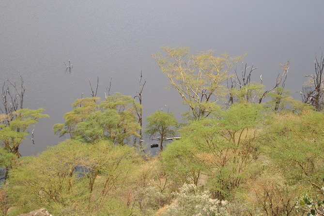 Lake Nakuru National Park - Full Day Tour - Why Lake Nakuru works as a Nairobi day trip