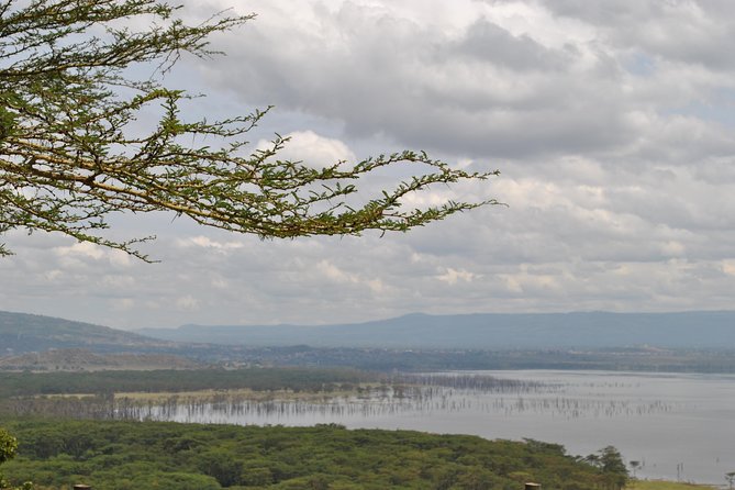 Lake Nakuru National Park - Full Day Tour - The game drive and possible mammal sightings