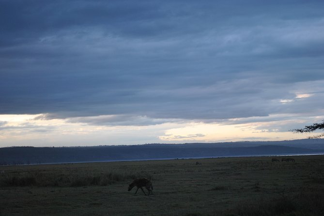 Lake Nakuru National Park - Full Day Tour - Flamingoes and the bird life around Lake Nakuru