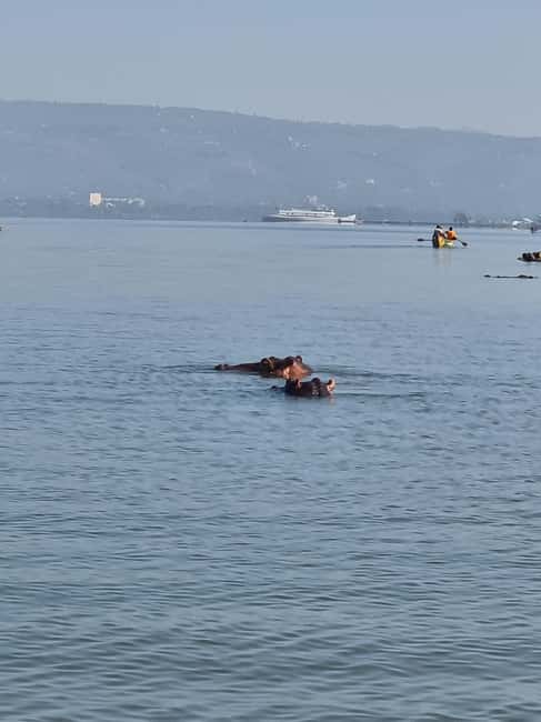 Lake Victoria Boat Ride, Birds Watching and Hippo Watching. - Looking for hippos in the morning
