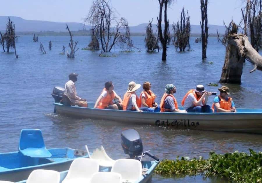 Lakes Nakuru& Naivasha National Park Wildlife Highlights - What I would confirm before paying