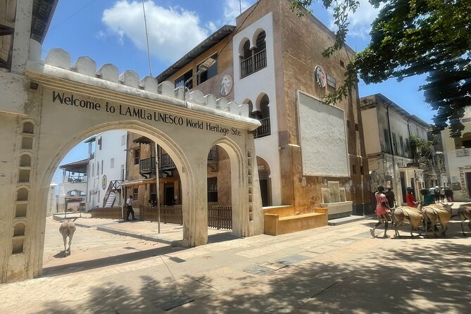 Lamu Old Town Walking Tour - Walking Into Lamu’s Narrow Streets