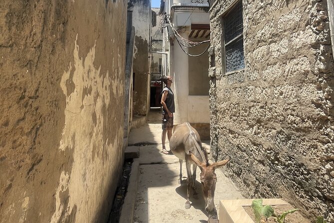Lamu Old Town Walking Tour - The Sea Front and Swahili Music