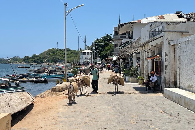 Lamu Old Town Walking Tour - The Donkey Sanctuary and Other Lamu Details
