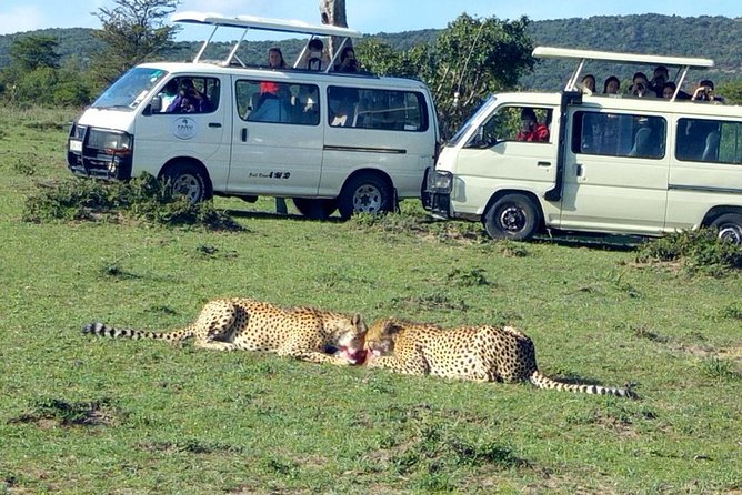 Maasai Mara 2-Day Safari Tour from Nairobi - Five things to know before booking
