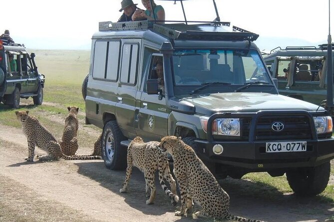 Maasai Mara 3 Day Guided Tour - Why Maasai Mara is the main event
