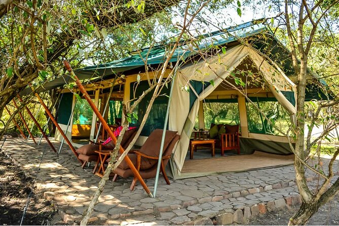 Maasai Mara 3 Day Guided Tour - Day 2, the fullest day in the reserve