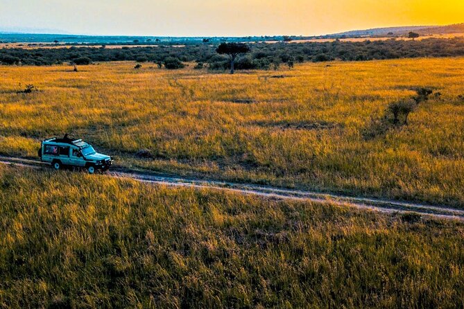 Maasai Mara 3 Day Guided Tour - Service, organization, and the private format