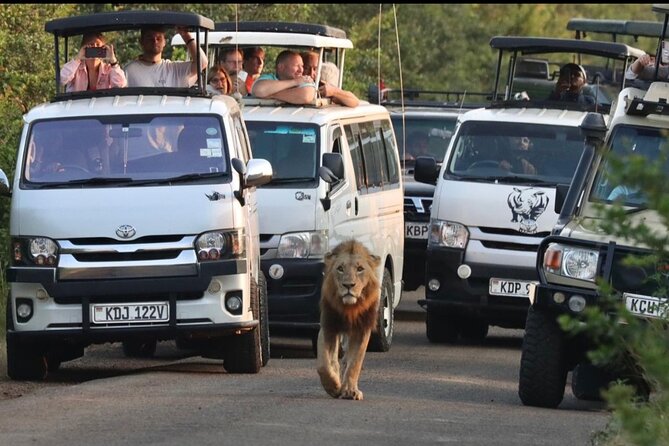 Maasai Mara Day Trip - Key points before you book