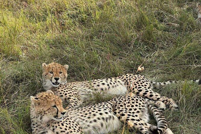 Maasai Mara Day Trip - A 4am start and the road west