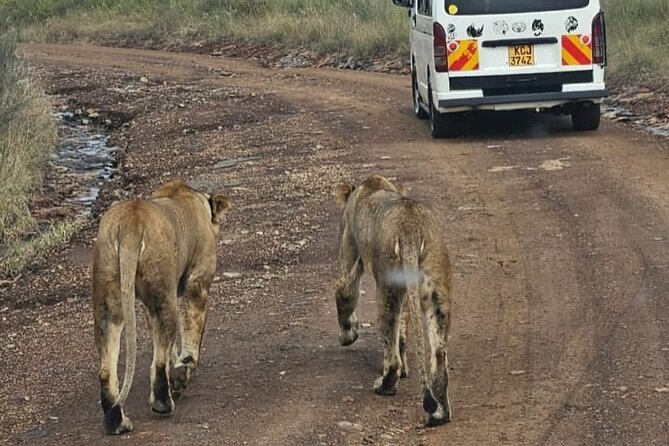 Maasai Mara Day Trip - The value of $243 per person