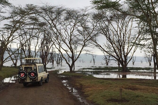 Maasai Mara Day Trip - Comfort, energy, and the long return
