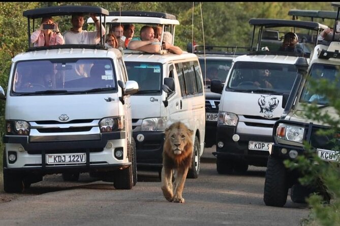 Maasai Mara Day Trip From Nairobi - Quick facts before you book
