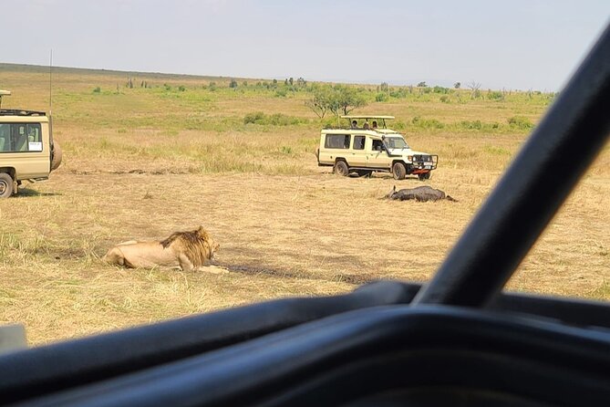 Maasai Mara Day Trip From Nairobi - What the guide and vehicle add