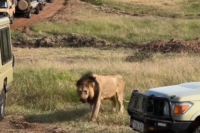 Maasai Mara Day Trip From Nairobi - Who should choose this day trip