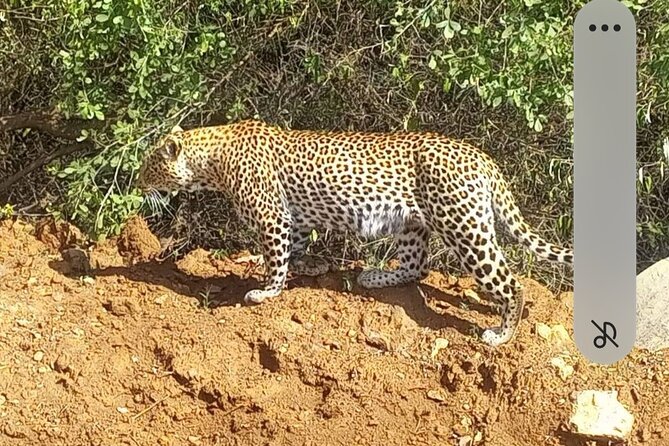 Maasai Mara Day Trip From Nairobi - The road from Nairobi to the Great Rift Valley