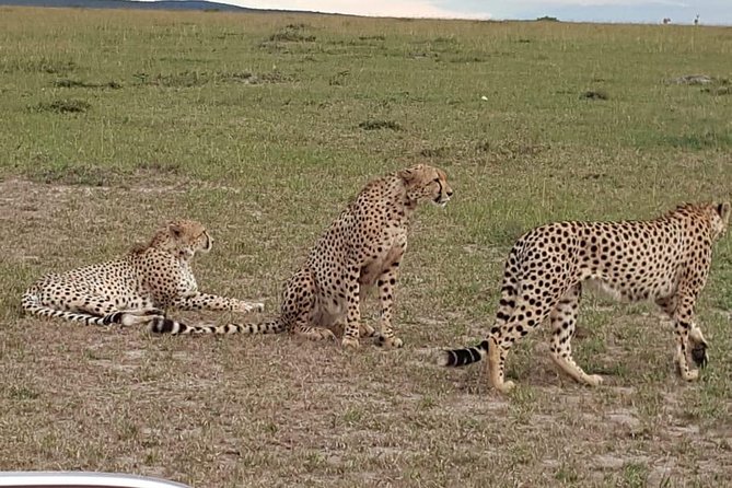 Maasai Mara Game Reserve - Adding a Maasai Boma Visit