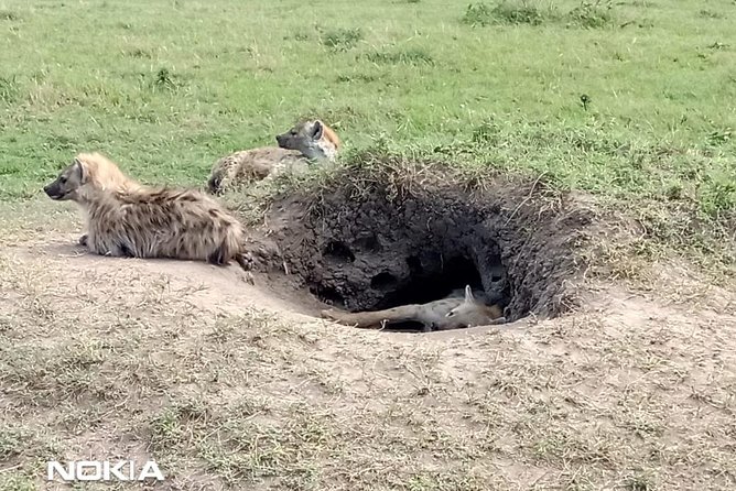 Maasai Mara Game Reserve - What the $2,100 Price Covers