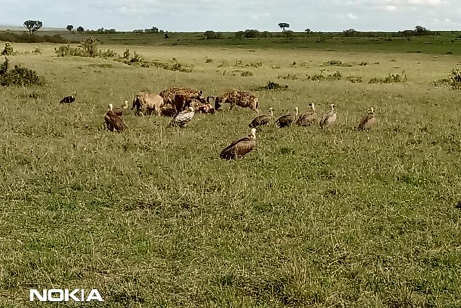 Maasai Mara Game Reserve - Comfort, Fitness, and Service