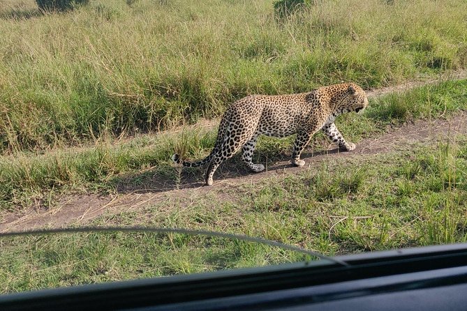 Maasai Mara Safari!! - Day One: First Wildlife Drive at 4:30 pm
