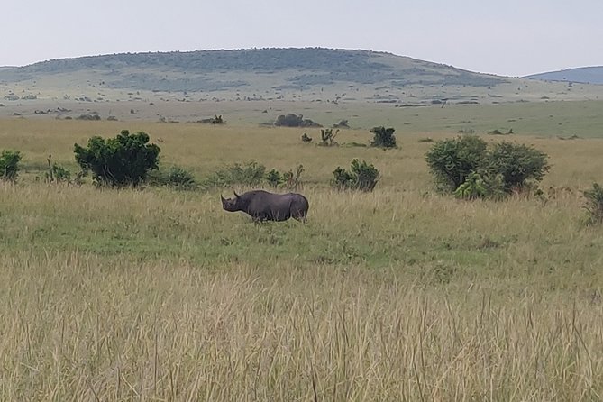 Maasai Mara Safari!! - Why the Private Format Matters