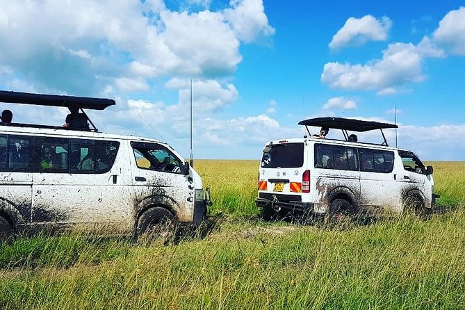 Maasai Mara Safari!! - A Guide Who Shapes the Experience