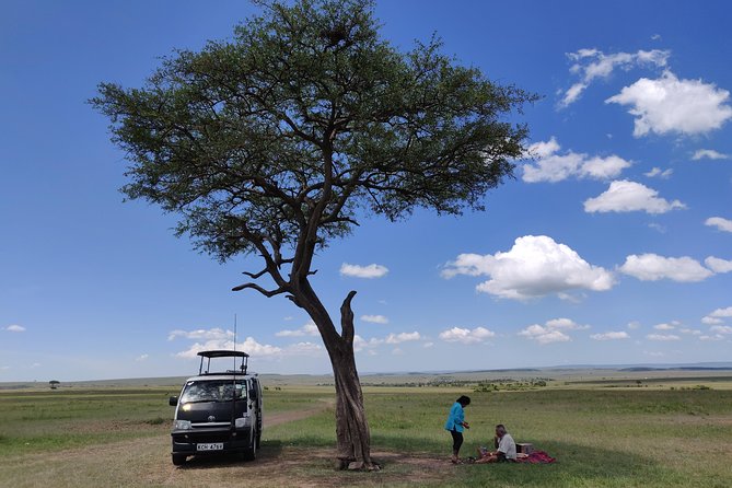 Maasai Mara Safari!! - Timing, Comfort, and Practical Expectations