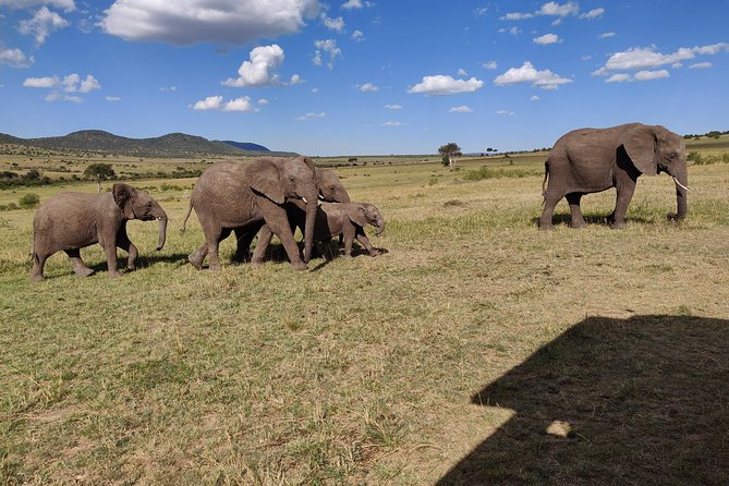 Maasai Mara Safari!! - Day Two: The Long Game Drive Across Maasai Mara