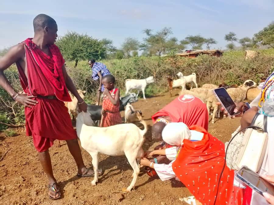 Maasai Village: Cultural Experience of The Maasai Tradition - Inside a manyatta made from earth and branches