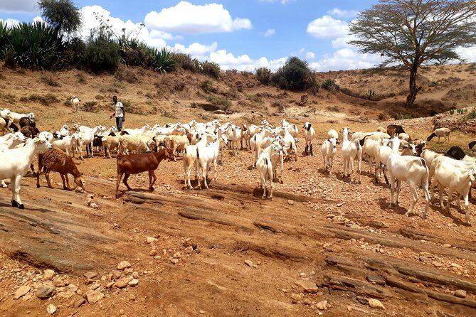 Maasai Village Experience Day Tour - What the $100 Price Includes