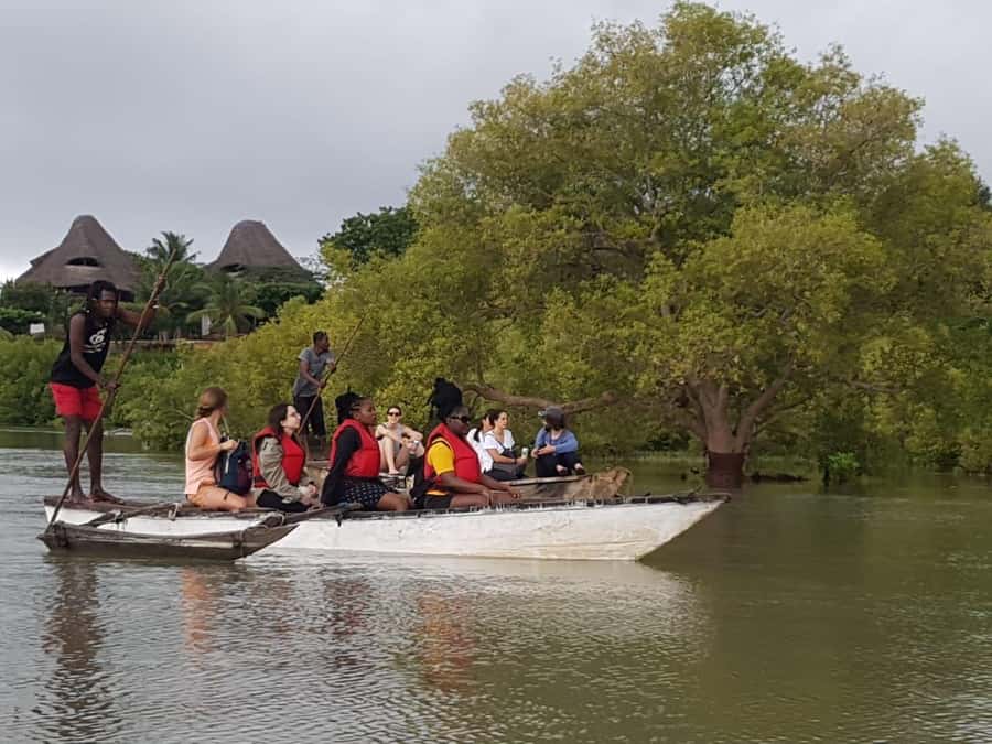 mangrove tour - Key things to know before booking
