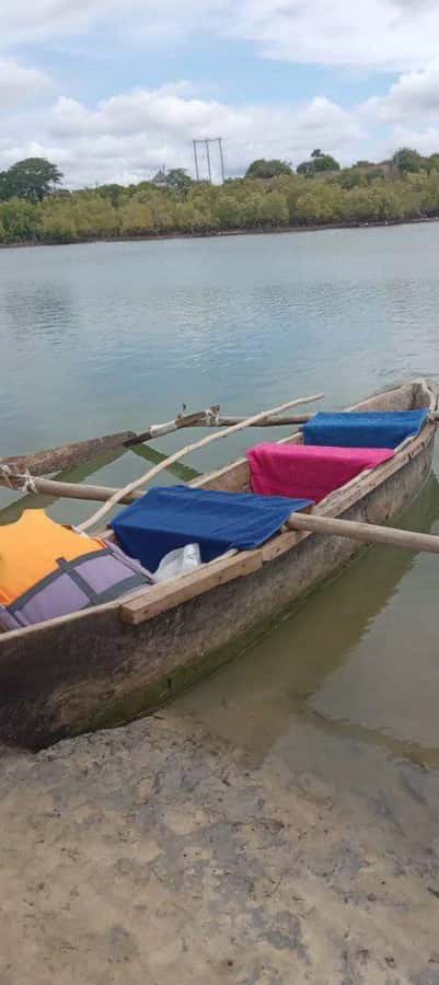 mangrove tour - Is $65 good value?