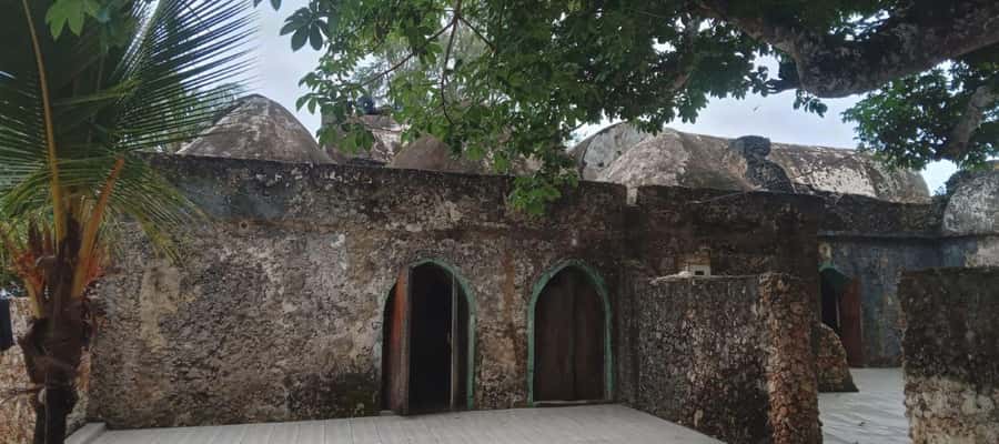 mangrove tour - What the tour does well