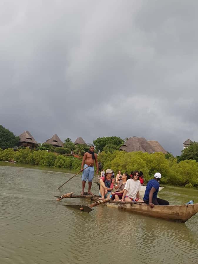 mangrove tour - Where the tour may disappoint