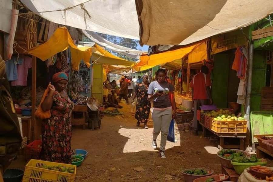 Market Tour and Traditional Kenyan Cooking Class in Nairobi - Shopping for ingredients at a local market