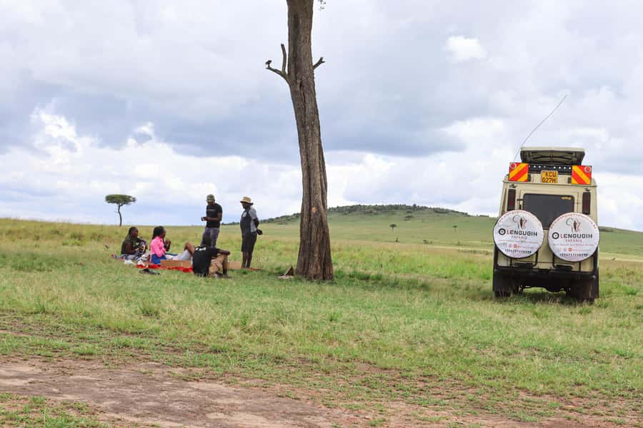 Masai Mara: 2 Day Private Safari In a 4x4 Land Cruiser - The optional hot air balloon ride