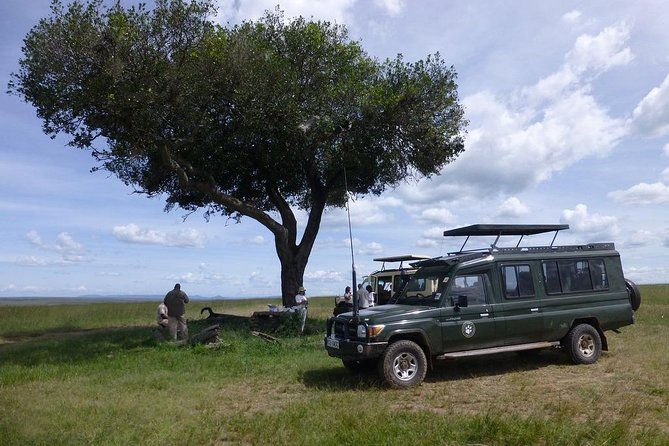 Masai Mara 3 Day Safari | Private 4WD Jeep Tour - Day two: A full day among lions, elephants, and acacia trees
