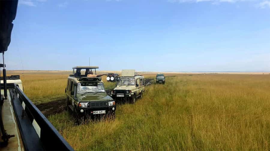 Masai Mara: 3 Days 2 nights Private Safari in a 4X4 Jeep - Booking Advice and Final Verdict