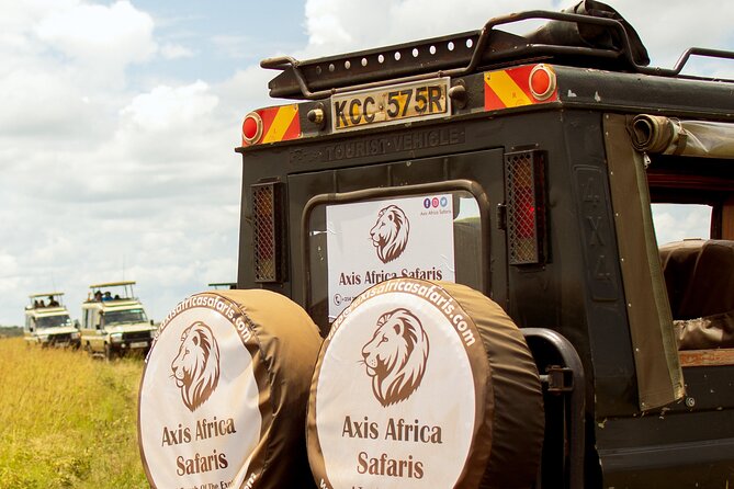 Masai Mara 3 Days Tour Safari Private 4WD Landcruiser - Returning to Nairobi on day three