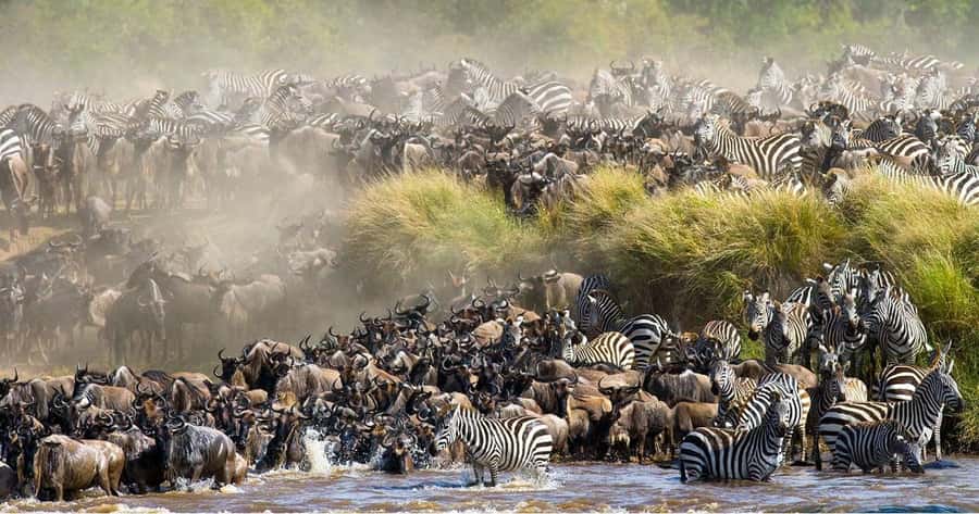 Masai Mara 3Days Joining Safari at Sopa Luxury Lodge by Jeep - A full day among the Big Five