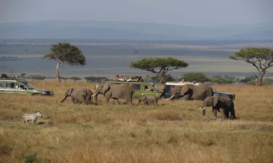 Masai Mara 3Days Joining Safari at Sopa Luxury Lodge by Jeep - The return to Nairobi on day three