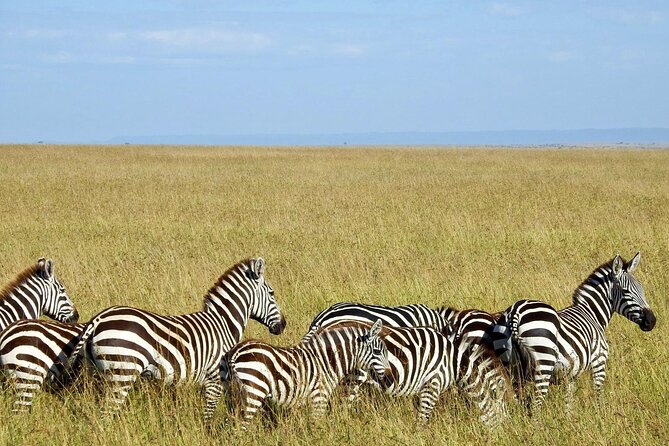 Masai Mara 3Days Safari Adventure - Meals, camp arrangements, and daily comfort