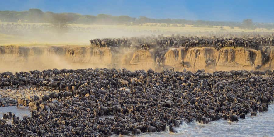 Masai Mara: 4-day safari for the great wildebeest migration - Day One: Nairobi, the Great Rift Valley, and the Mara